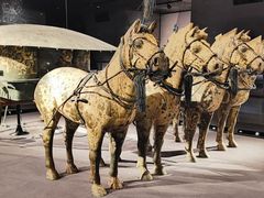 -秦始皇帝陵博物院-丽山园