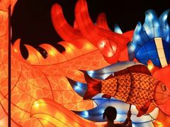 -美的鹭湖森林度假区