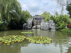 -溱湖国家湿地公园