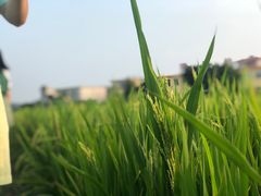 -棠记海鲜餐厅(南朗镇店)