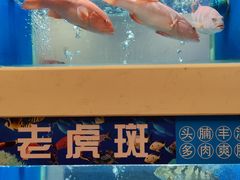 -隆聚·时令海鲜(洪兴店)