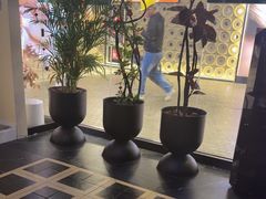-涟LIAN·泰式按摩·MASSAGE·SPA(深业上城店)