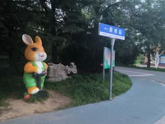 -日照海滨国家森林公园