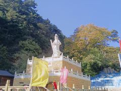 -大芦花风景区