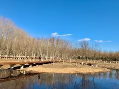 -东郊湿地公园