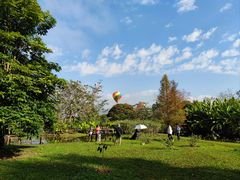 -中国科学院西双版纳热带植物园