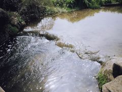 -中国茶叶博物馆(双峰馆区)