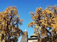 -北京石刻艺术博物馆(五塔寺)