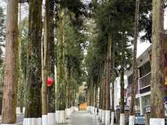 -井冈山革命烈士陵园