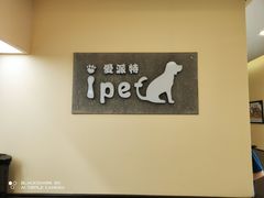 -爱派特动物医院·全科诊疗中心