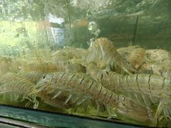 -聚鲜阁海鲜美食城(香水湾店)