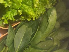 -牛YO寿喜烧和牛火锅自助(三台子万象汇店)