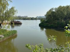 -大兴滨河森林公园