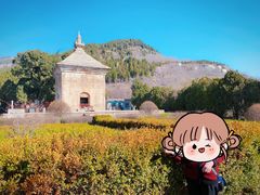 -四门塔风景区