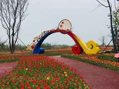 -泗洪洪泽湖湿地景区