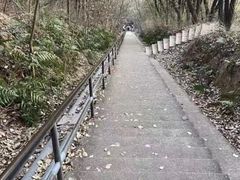 -惠山国家森林公园
