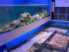 -花西亭·海鲜自助餐厅(瑞城名人酒店)