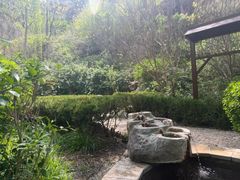 -徂徕山森林康养度假谷温泉