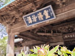 -窦大夫祠