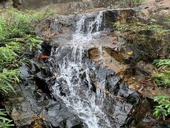 -呀诺达热带雨林