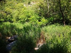 -碓臼峪自然风景区