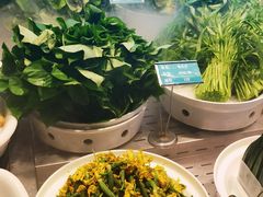 -筱爷叔·上海传统手工菜(新桥店)