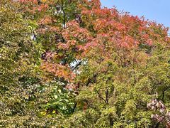 -国家植物园南园