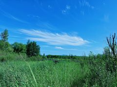 -野鸭湖国家湿地公园
