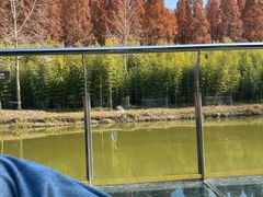 -黄海国家森林公园