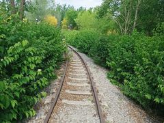 -西青郊野公园