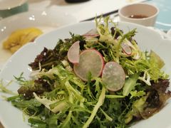 蔬菜色拉-梅龙镇酒家(南京西路总店)