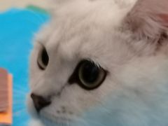 -美迦爱-牙专科·兔科·骨科诊疗中心(北苑店)