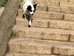 -碓臼峪自然风景区