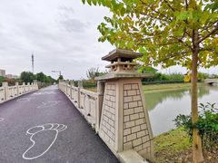 -菊园百果园