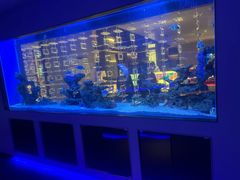 -上和臻品中国菜(花园街店)