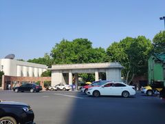 -同济大学四平路校区游泳馆