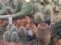 -国家植物园南园