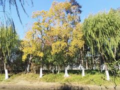 -嘉北郊野公园