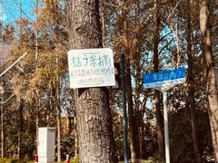 -前小桔亲子创意农场·草莓采摘·露营烧烤