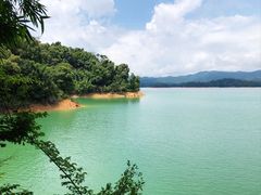 -广州市流溪河国家森林公园