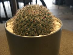 -喜茶(佛山顺德大良东乐路店)