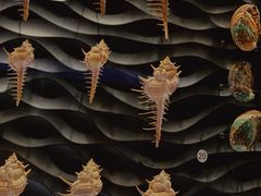 -上海自然博物馆