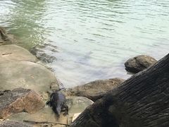 -巴拉湾海滩