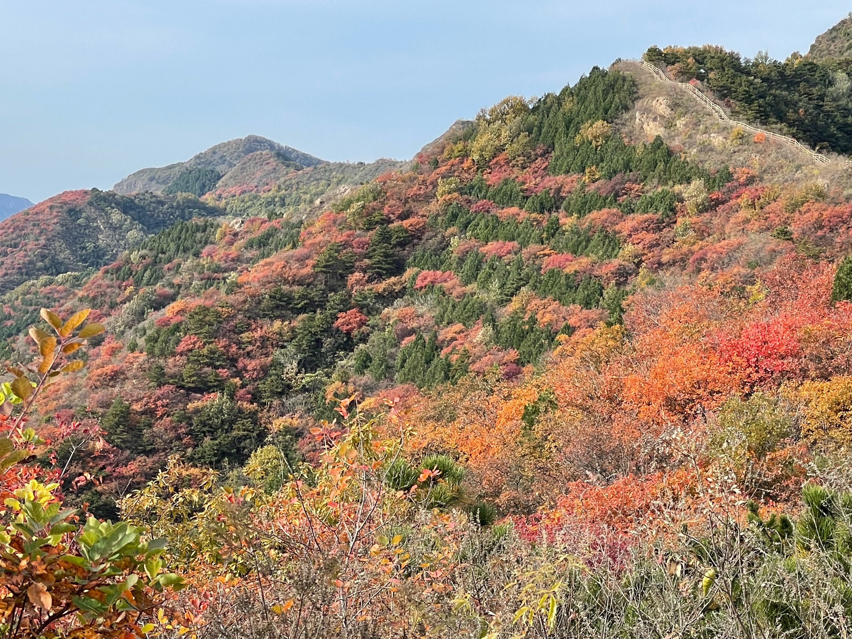 平谷秋天最美的地方图片