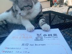 -小时光咖啡馆(开森度假森林店)