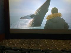 -博纳国际影城(凯德广场店)