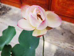 -西安市广仁寺