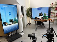 -Sony Store 索尼(上海淮海中路店)