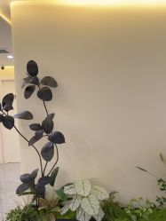 -海涛医疗美容·面部抗衰·注射美鼻