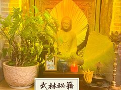 -叶叶菩提(太原别墅店)